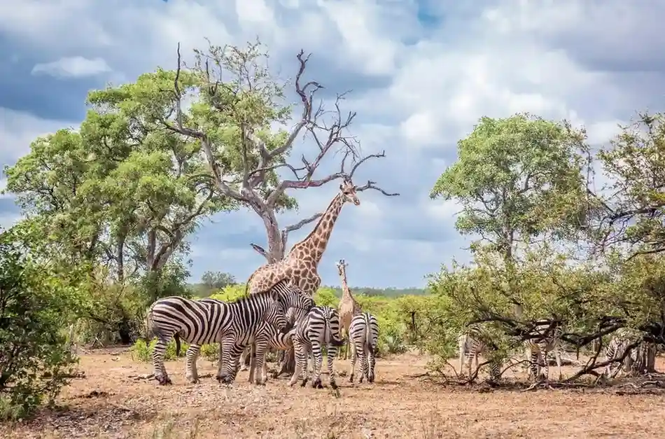 Limpopo Accommodation